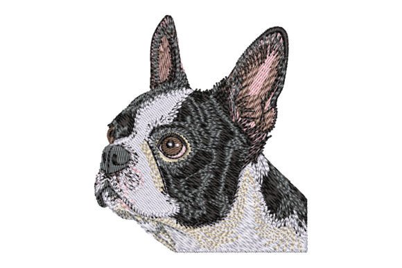 Boston Terrier Embroidery: A Seller’s Review